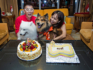 Audi Saint Larent 2nd Birthday Party 2015 August 06. Goodies and Gifts sponsor by Clubpets Magazine and Feed My Paws.